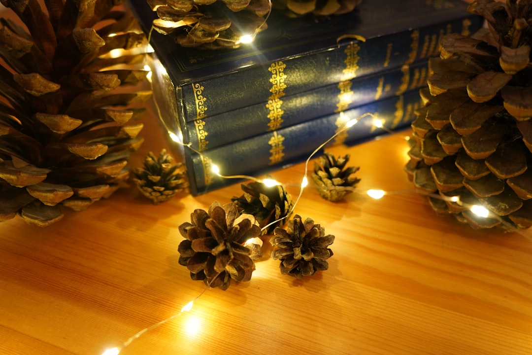 Illuminate Your Outdoor Space with Christmas Decorative Floor Lamps